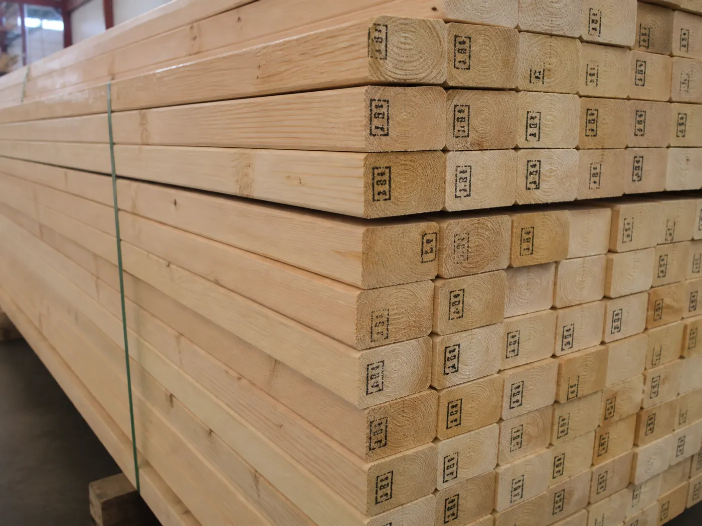 2x4 × 96" Studs